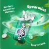 sg-11134201-7ra0v-mbdyour86sgg8f.webp ECLIPSE Mints Spearmint 35g